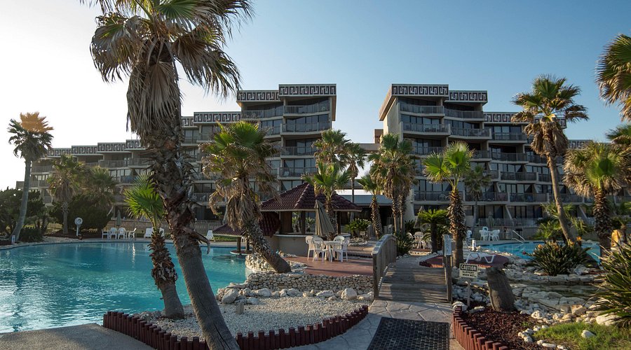 Poolside with palm trees at Mayan Princess